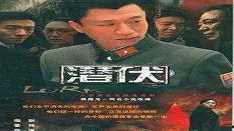 中国国产经典视频,传承与创新的艺术之旅  第3张