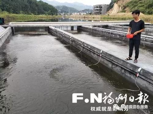 国产鱼塘手机视频,揭秘鱼塘生态与养殖技术新篇章