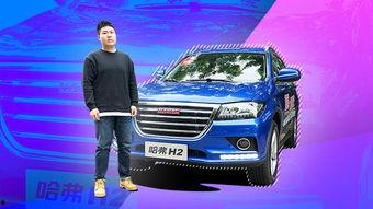 进口国产h2视频播放,国产与进口H2视频播放对比解析  第3张