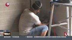 国产土霸王视频,揭秘中国乡村创业传奇  第2张